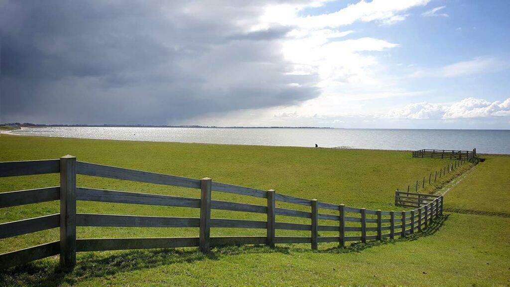 Verwonderd fotograferen