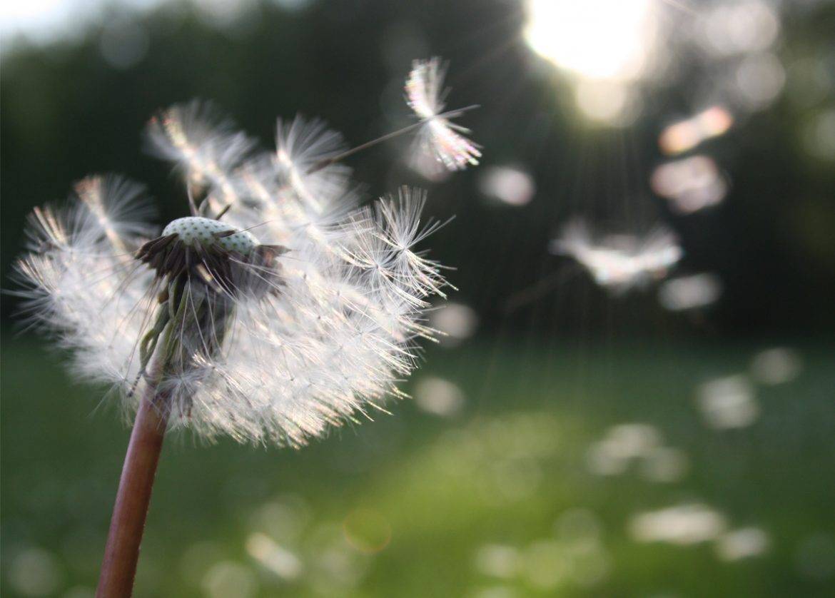 Als de dag begint met oorlog