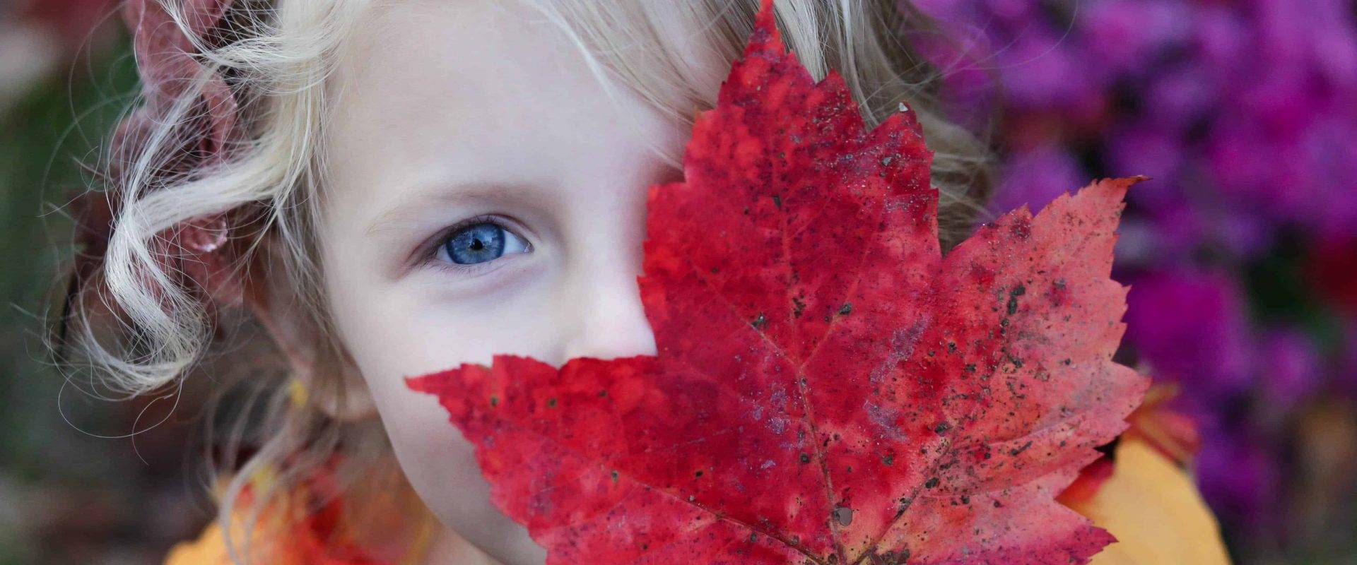 De Elisabeth, wat een mooi blad