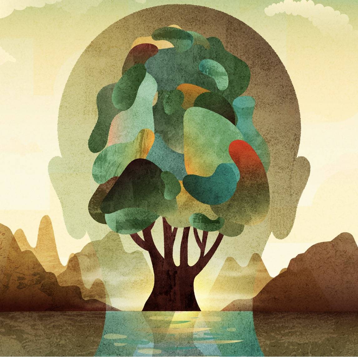 Jedi Noordegraaf illustratie