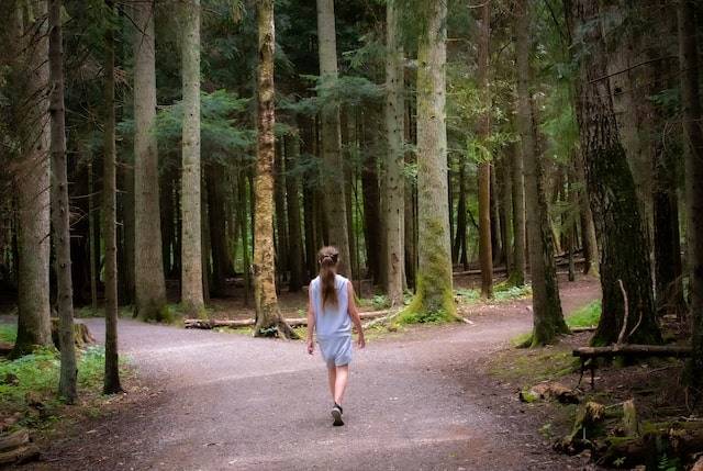 kruispunt Een jonge vrouw in korte broek loopt op een pad tussen de bomen naar een T-splitsing