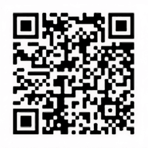 QR-code Stichting Vrienden van de Elisabethbode